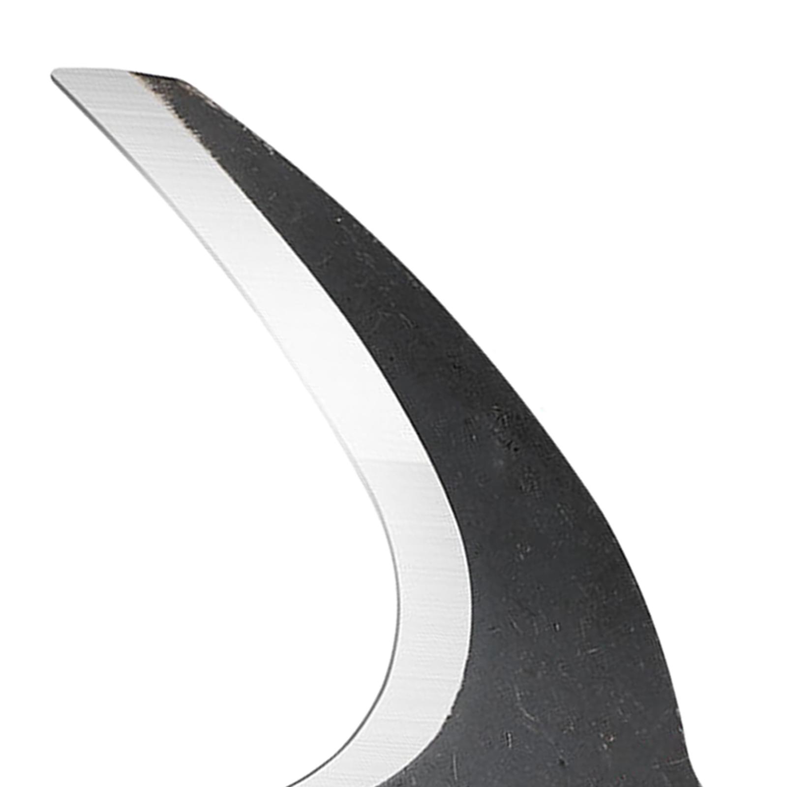 ขวานเหล็กสำหรับทำสวน พร้อมดีไซ - Woodworking Rasp บทวิจารณ์และราคา
